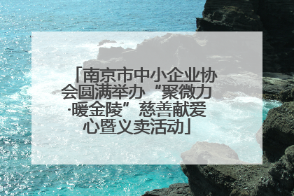 南京市中小企业协会圆满举办“聚微力·暖金陵”慈善献爱心暨义卖活动