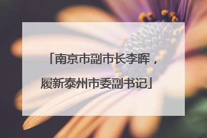 南京市副市长李晖，履新泰州市委副书记