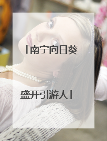 南宁向日葵盛开引游人