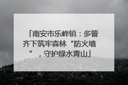 南安市乐峰镇：多管齐下筑牢森林“防火墙”，守护绿水青山