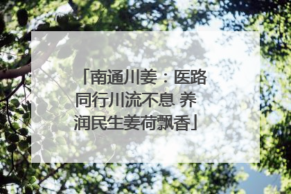 南通川姜：医路同行川流不息 养润民生姜荷飘香