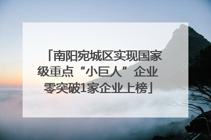 南阳宛城区实现国家级重点“小巨人”企业零突破1家企业上榜