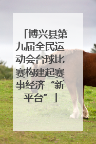 博兴县第九届全民运动会台球比赛构建起赛事经济“新平台”