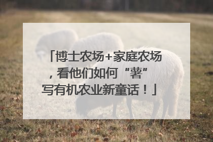 博士农场+家庭农场，看他们如何“薯” 写有机农业新童话！