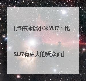 卢伟冰谈小米YU7：比SU7有更大的受众面