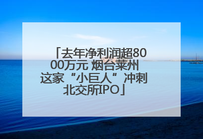 去年净利润超8000万元 烟台莱州这家“小巨人”冲刺北交所IPO