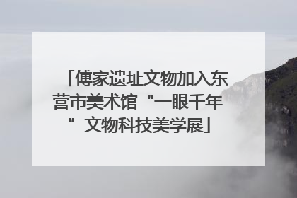 傅家遗址文物加入东营市美术馆“一眼千年”文物科技美学展