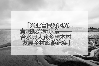 兴业富民好风光 奏响振兴新乐章——合水县太莪乡黑木村发展乡村旅游纪实