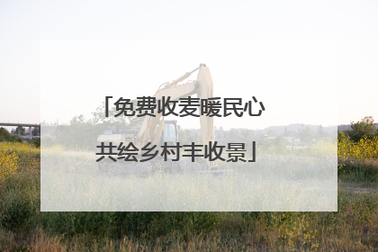 免费收麦暖民心 共绘乡村丰收景