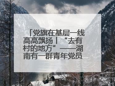 党旗在基层一线高高飘扬丨“去有村的地方”——湖南有一群青年党员这样选择