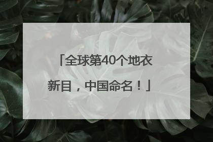 全球第40个地衣新目，中国命名！