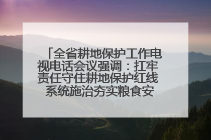 全省耕地保护工作电视电话会议强调：扛牢责任守住耕地保护红线 系统施治夯实粮食安全根基 王宁作出批示 王予波出席并讲话