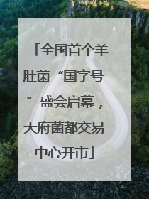 全国首个羊肚菌“国字号”盛会启幕，天府菌都交易中心开市