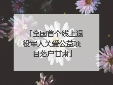 全国首个线上退役军人关爱公益项目落户甘肃