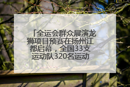 全运会群众展演龙狮项目预赛在扬州江都启幕，全国33支运动队320名运动员“龙争狮斗”