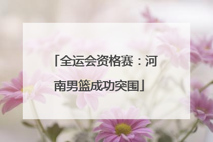 全运会资格赛：河南男篮成功突围