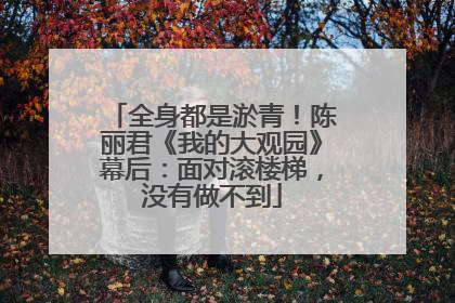 全身都是淤青！陈丽君《我的大观园》幕后：面对滚楼梯，没有做不到