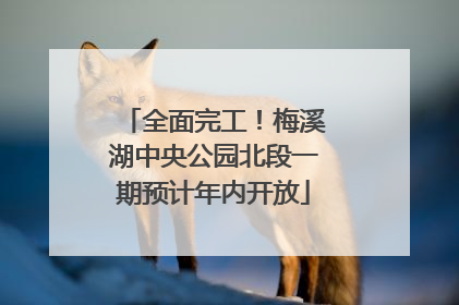 全面完工！梅溪湖中央公园北段一期预计年内开放
