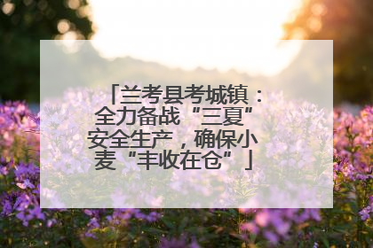 兰考县考城镇：全力备战“三夏”安全生产，确保小麦“丰收在仓”
