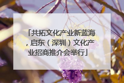 共拓文化产业新蓝海，启东（深圳）文化产业招商推介会举行