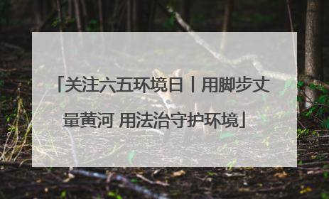 关注六五环境日丨用脚步丈量黄河 用法治守护环境