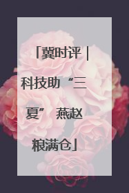 冀时评｜科技助“三夏” 燕赵粮满仓