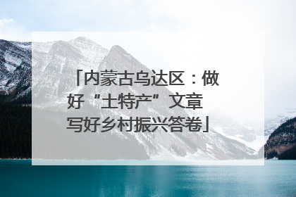 内蒙古乌达区：做好“土特产”文章 写好乡村振兴答卷