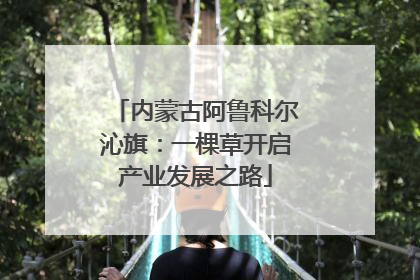 内蒙古阿鲁科尔沁旗：一棵草开启产业发展之路