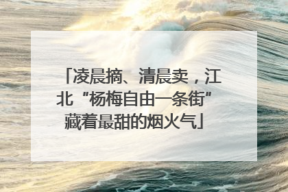 凌晨摘、清晨卖,江北“杨梅自由一条街”藏着最甜的烟火气