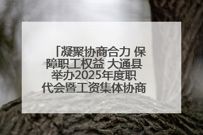 凝聚协商合力 保障职工权益 大通县举办2025年度职代会暨工资集体协商现场观摩交流活动
