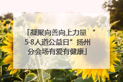 凝聚向善向上力量 “5·8人道公益日”扬州分会场有爱有健康