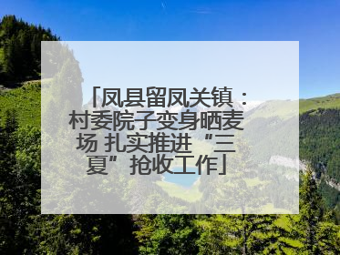 凤县留凤关镇：村委院子变身晒麦场 扎实推进“三夏”抢收工作