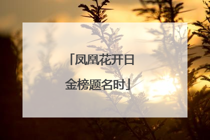 凤凰花开日 金榜题名时