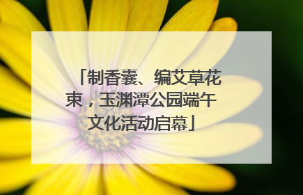 制香囊、编艾草花束，玉渊潭公园端午文化活动启幕