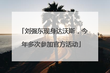 刘强东现身达沃斯，今年多次参加官方活动