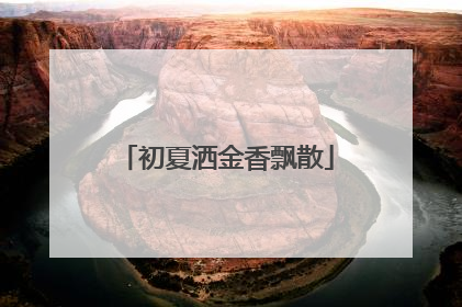初夏洒金香飘散