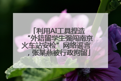 利用AI工具捏造 “外籍留学生强闯南京火车站安检”网络谣言，张某燕被行政拘留
