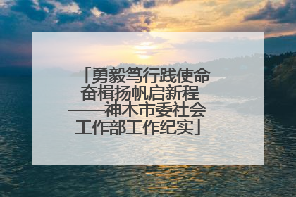 勇毅笃行践使命 奋楫扬帆启新程——神木市委社会工作部工作纪实