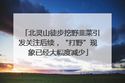 北灵山徒步挖野韭菜引发关注后续，“打野”现象已经大幅度减少