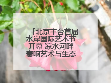 北京丰台首届水岸国际艺术节开幕 凉水河畔奏响艺术与生态 “交响曲”
