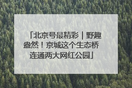 北京号最精彩｜野趣盎然！京城这个生态桥连通两大网红公园