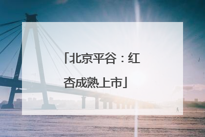 北京平谷：红杏成熟上市
