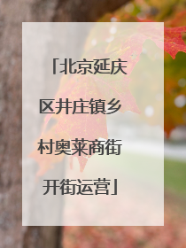 北京延庆区井庄镇乡村奥莱商街开街运营
