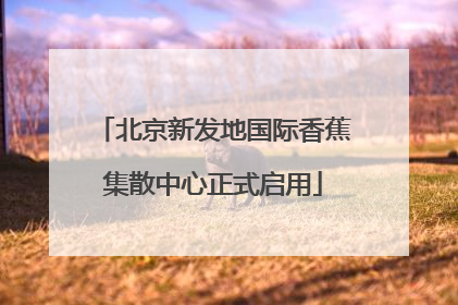 北京新发地国际香蕉集散中心正式启用