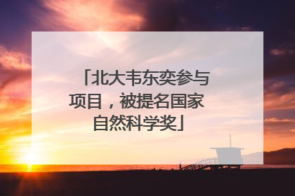 北大韦东奕参与项目，被提名国家自然科学奖