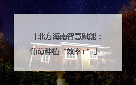 北方海南智慧赋能：葡萄种植“效率+”