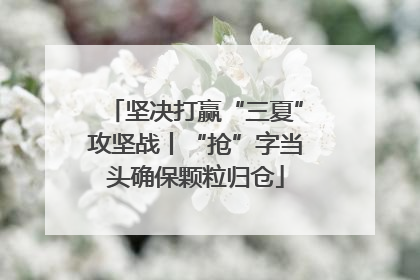坚决打赢“三夏”攻坚战丨“抢”字当头确保颗粒归仓