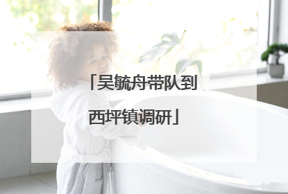 吴毓舟带队到西坪镇调研