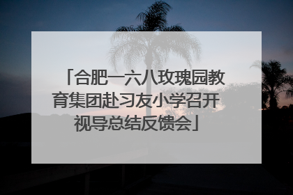 合肥一六八玫瑰园教育集团赴习友小学召开视导总结反馈会