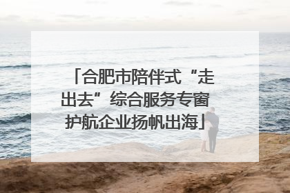 合肥市陪伴式“走出去”综合服务专窗护航企业扬帆出海